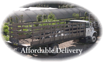 We offer Delivery (with minimum purchase)