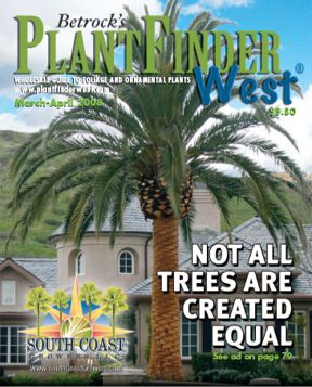 Date Palm Trees by South Coast Growers have been featured in many magazines and publications