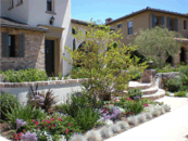Designed and Installed by South Coast, Drought Tolerant (low water) landscape