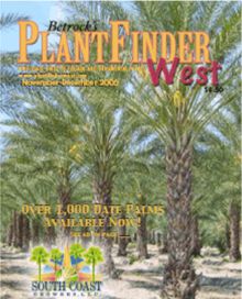 As seen in PlantFinder, Date Palms by South Coast Growers