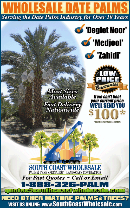 Buy Your Date Palms Direct from the Growers & Save