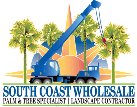 Return to South Coast Wholesale Home Page