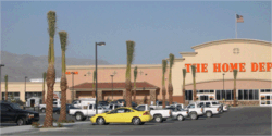 Phoenix dactylifera Date Palms Home Depot